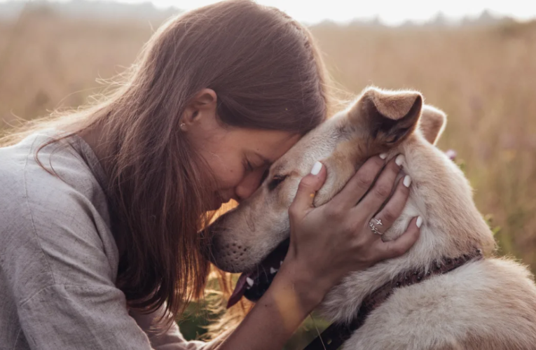 The Power of Pets: 10 Ways Pets Make Life Better